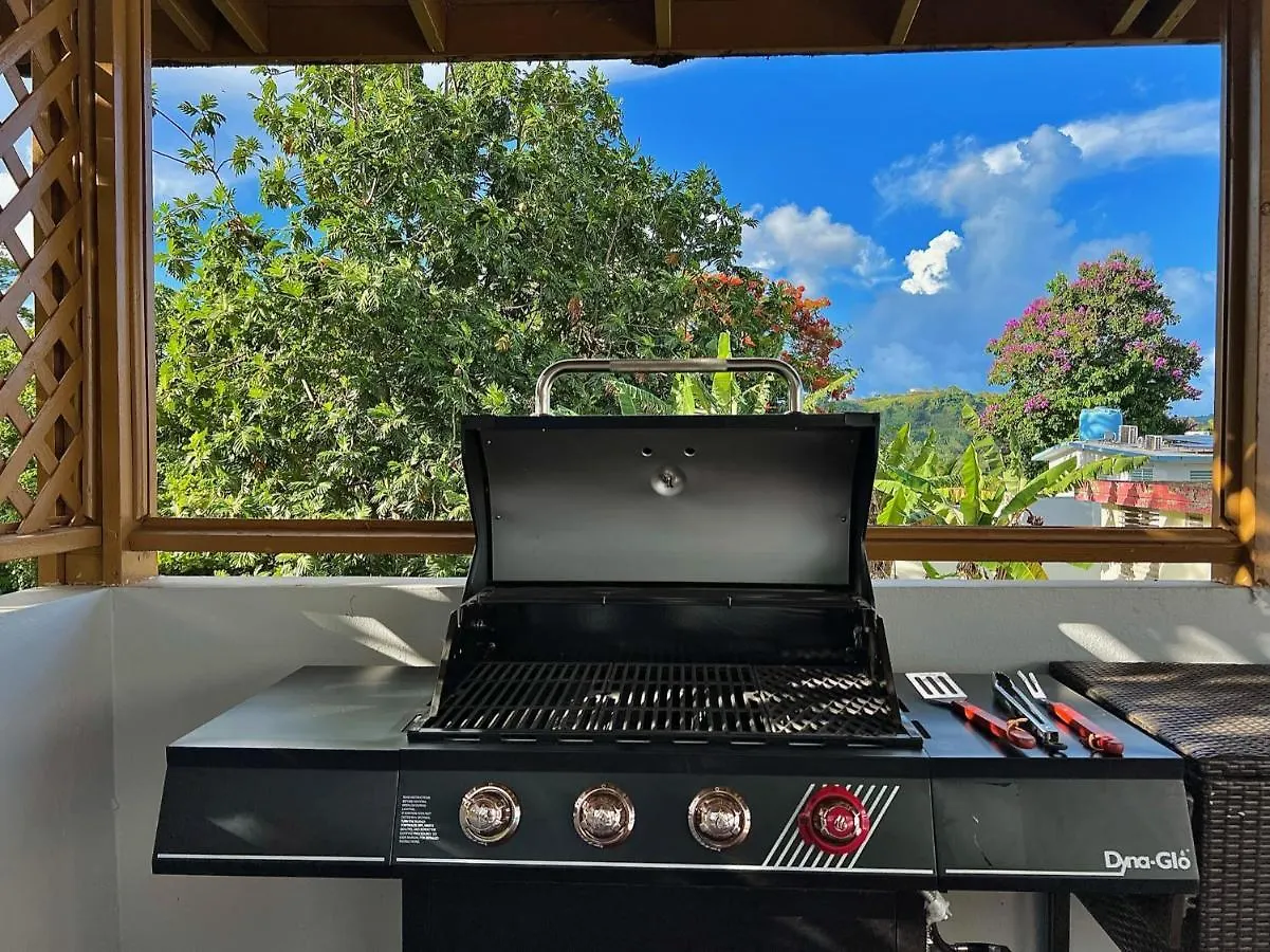 Casa Colinas: El Yunque Rainforest Villa With Pool, Heated Jacuzzi & Terrace 里奥格兰德